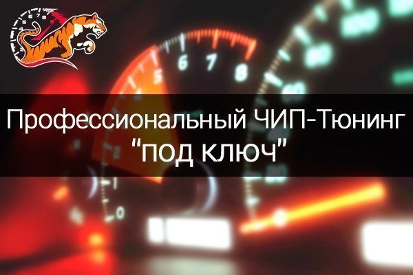 Чип-тюнинг и удаление катализаторов под ключ